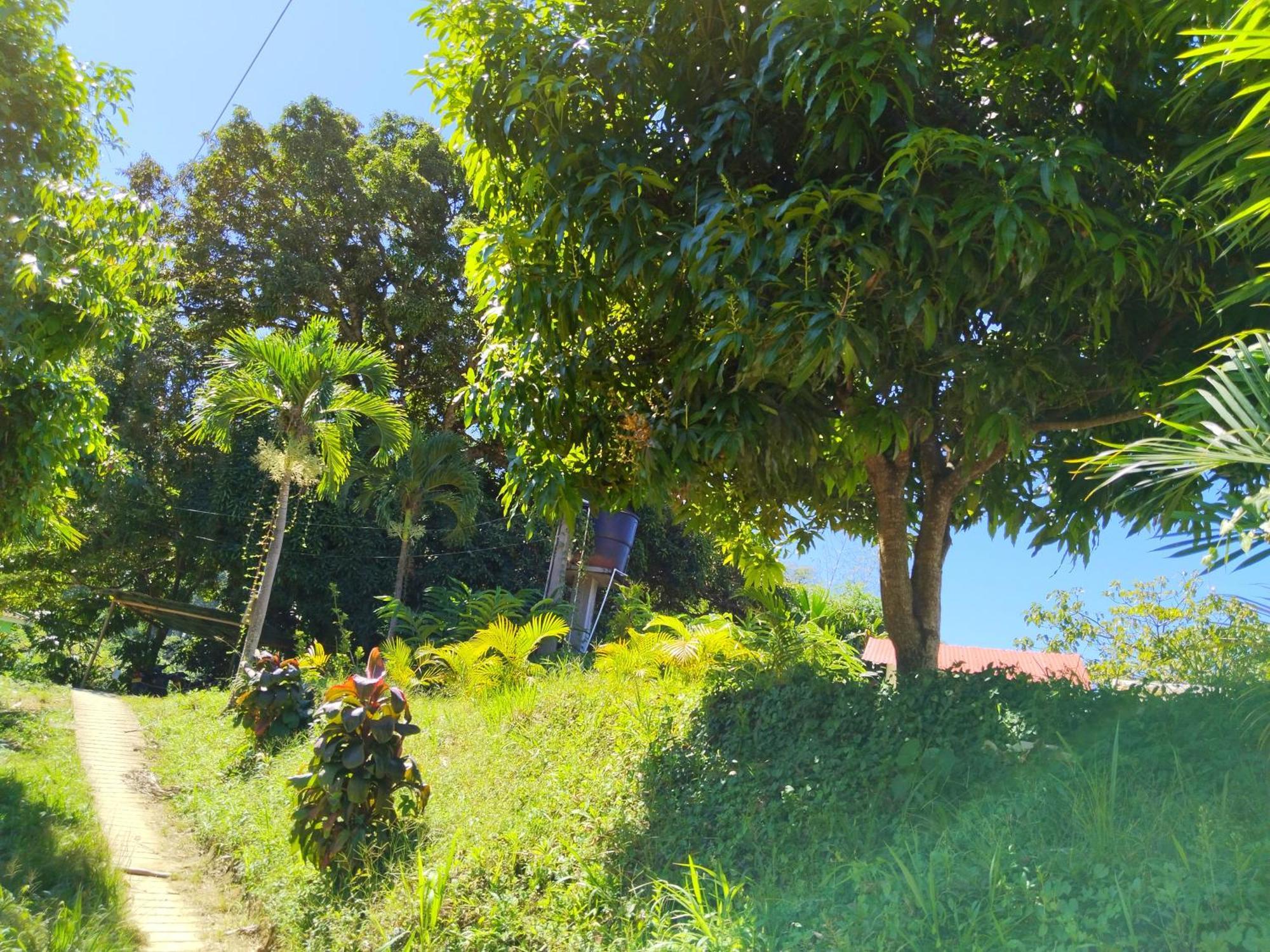 Villa Casa Magica Minca Exterior foto