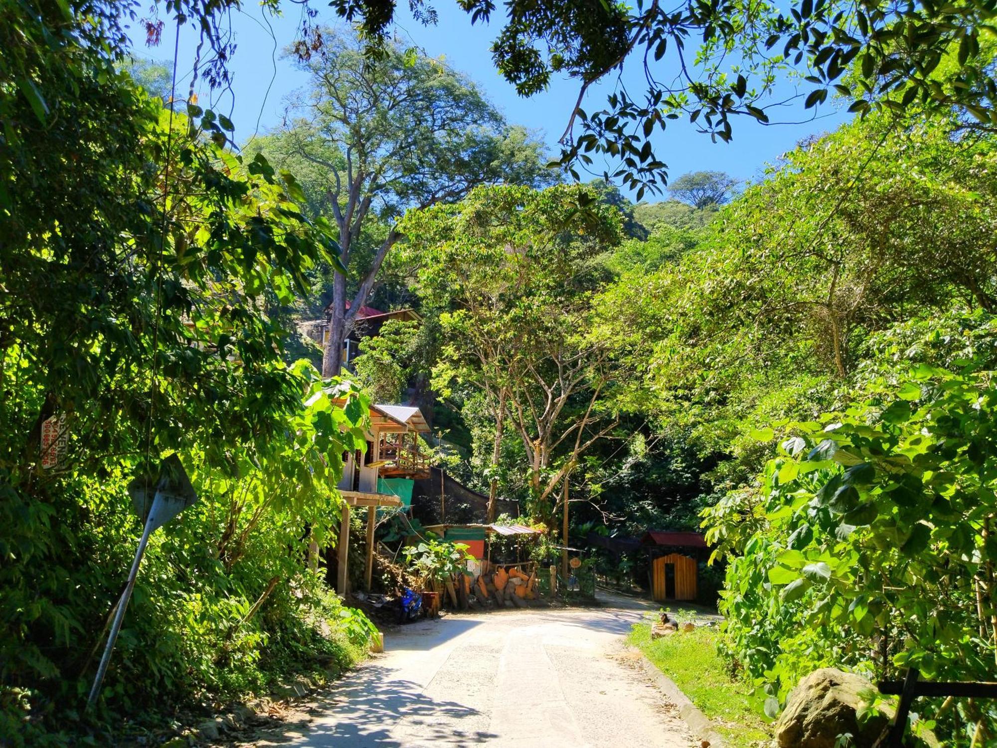 Villa Casa Magica Minca Exterior foto