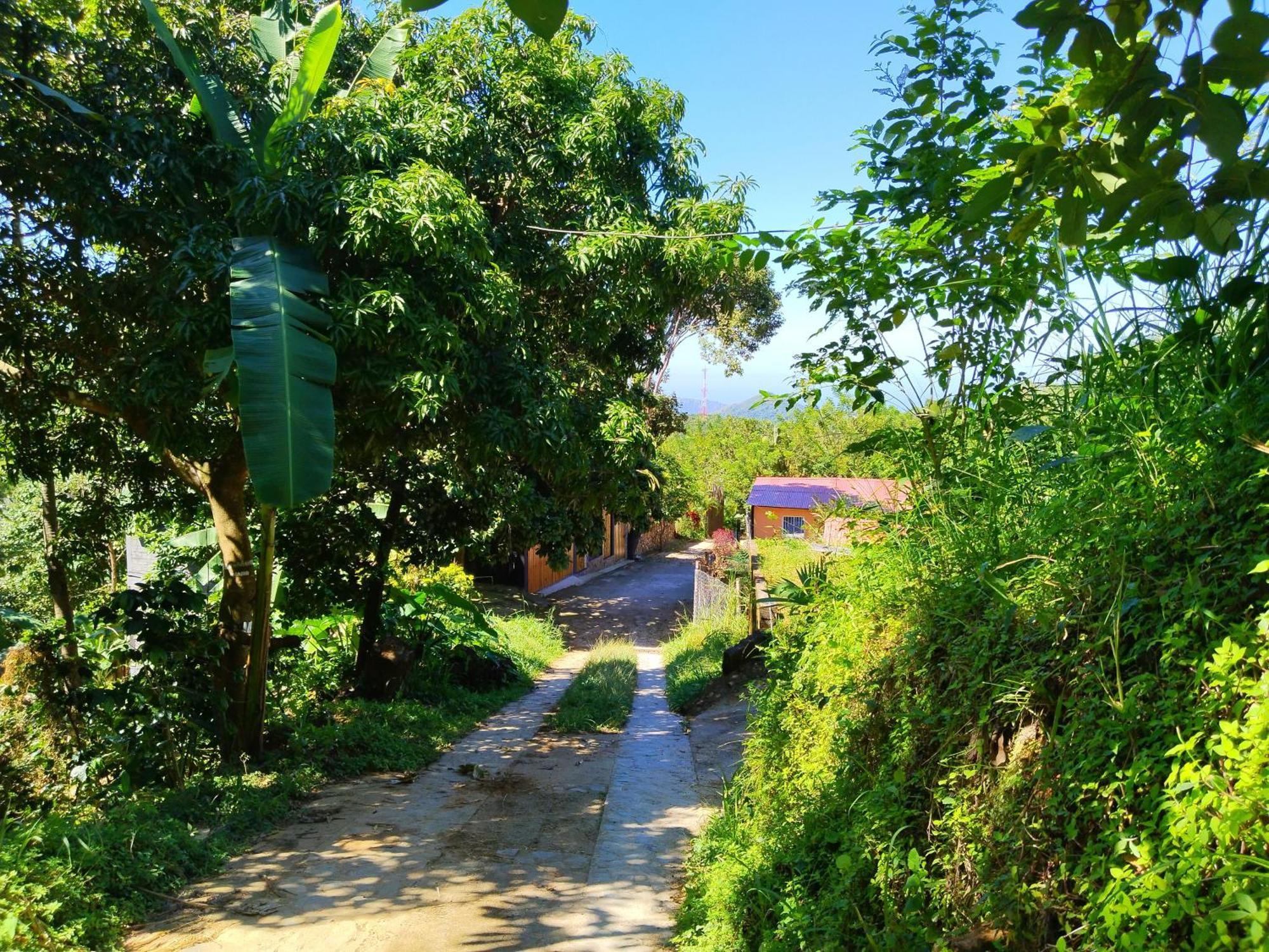 Villa Casa Magica Minca Exterior foto
